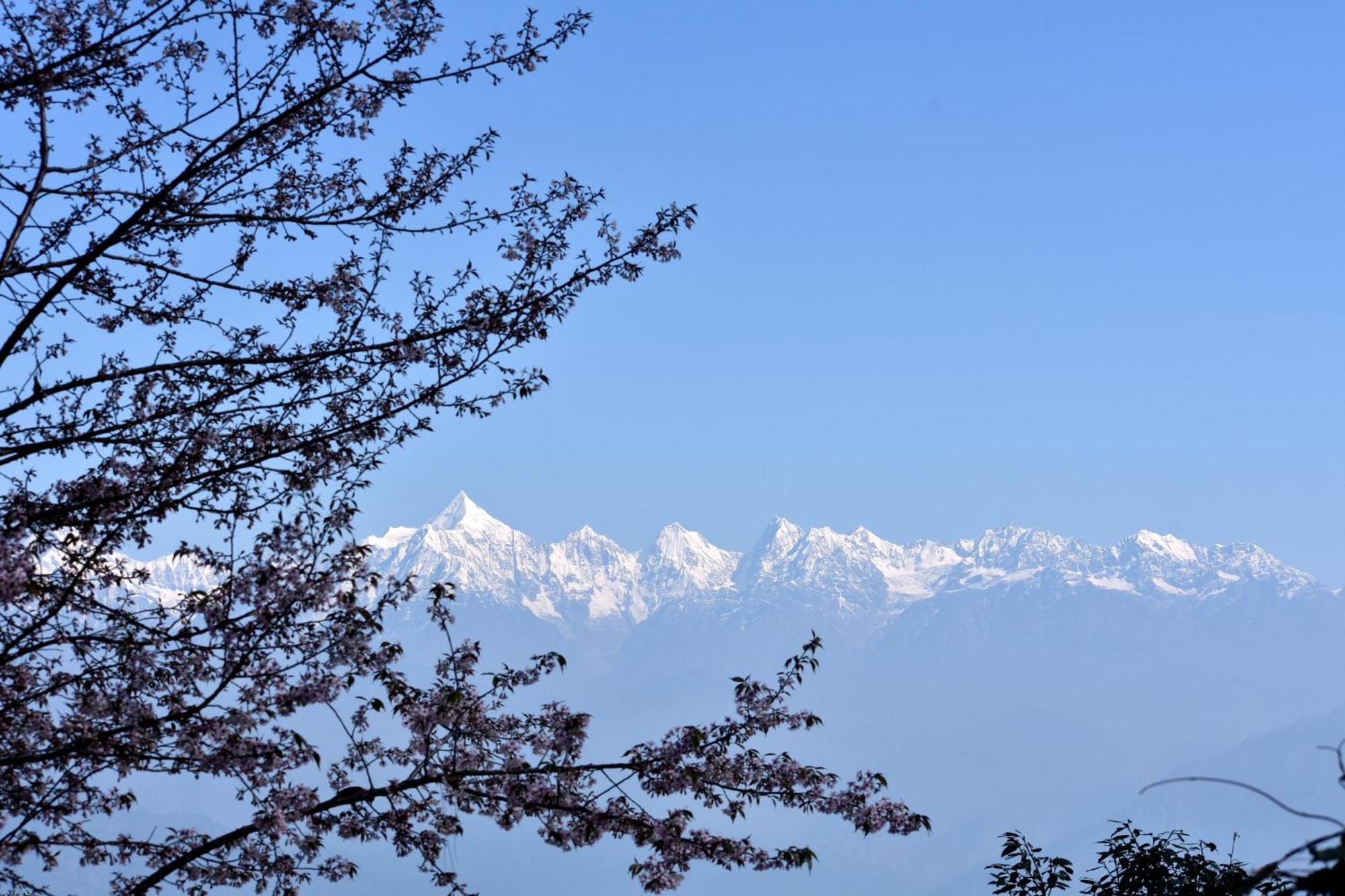 The Misty Mountains Βίλα Chaukori Εξωτερικό φωτογραφία