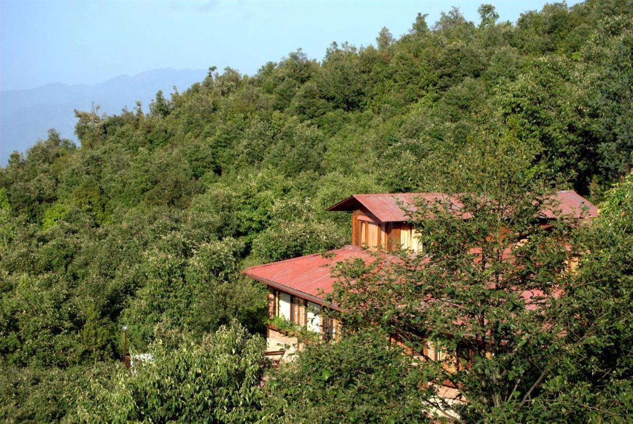 The Misty Mountains Βίλα Chaukori Εξωτερικό φωτογραφία